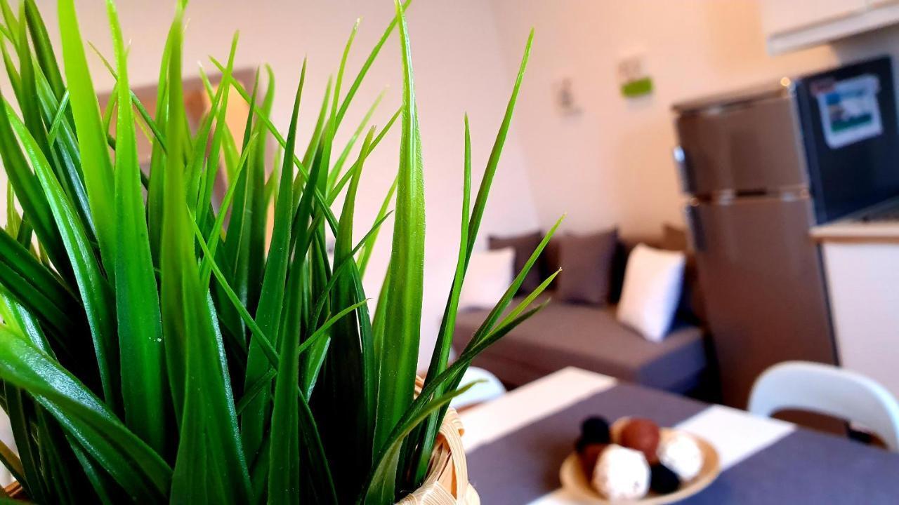 Almare - Sea Front Apartment Livorno Ngoại thất bức ảnh